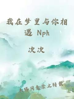 我在梦里与你相遇 Nph